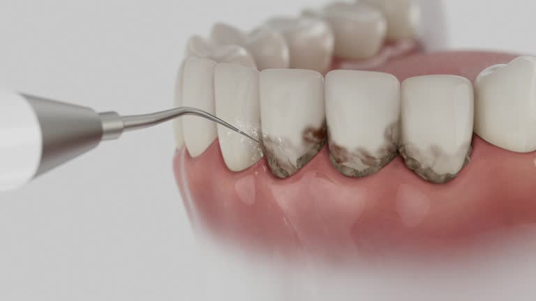 Reliable Dental contractor in Pleasant Gap, PA by Dentist Open Now